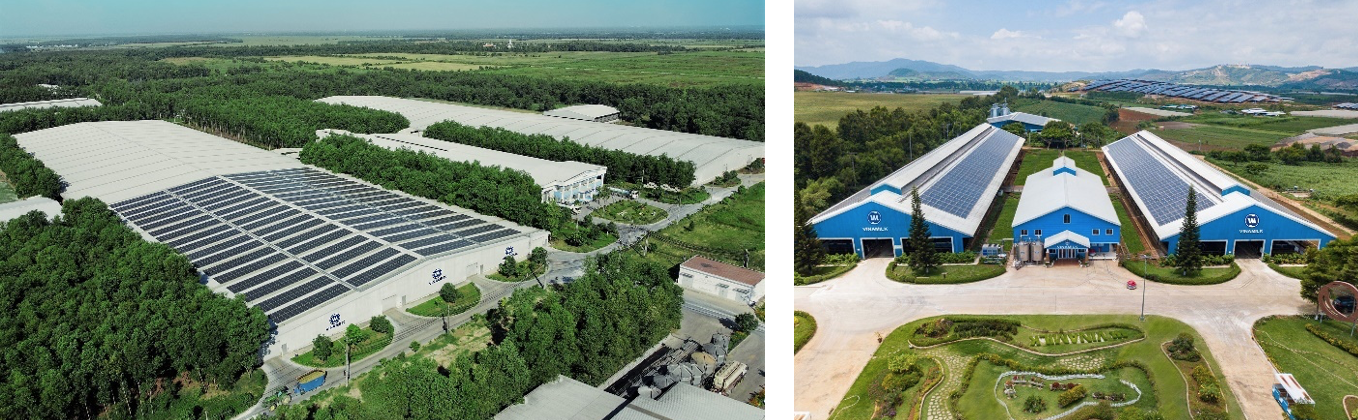 Vinamilk[-]bội[-]thu[-]giải[-]thưởng[-]phát[-]triển[-]bền[-]vững